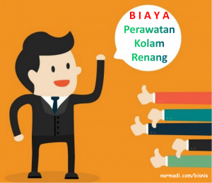 biaya perawatan kolam renang