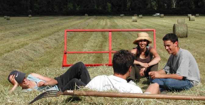 peluang usaha untuk mahasiswa