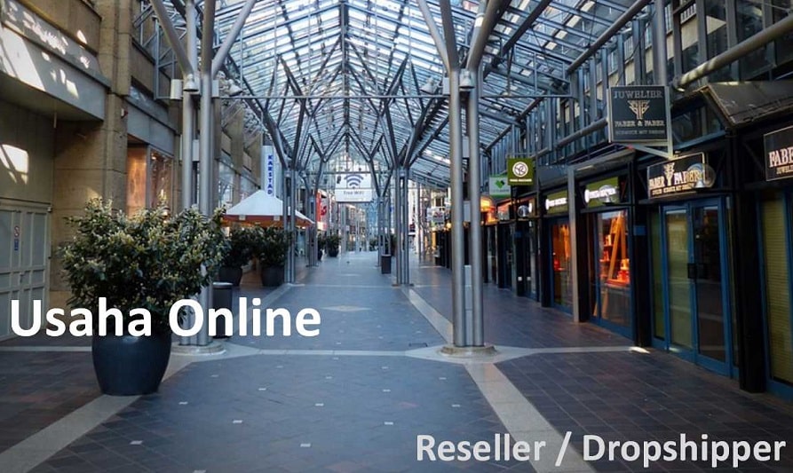 usaha online reseller atau dropshipper