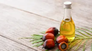 minyak goreng - Narmadi.co.id