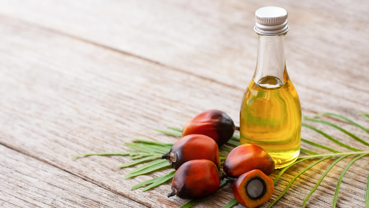 minyak goreng - Narmadi.co.id