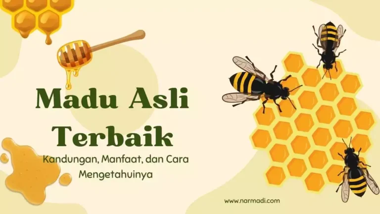 Madu asli terbaik adalah yang memiliki kandungan manfaat yang baik bagi tubuh dan sesuai dengan SNI 8664:2018