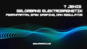 7 Jenis gelombang elektromagnetik, seperti gelombang radio, gelombang mikro, cahaya tampak, inframerah, sinar ultraviolet, sinar x, sinar gamma,