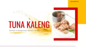 Manfaat mengonsumsi ikan tuna kaleng dan cara menghindari risiko bahaya dibaliknya