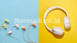 perbedaan earphone dan headset - Narmadi.co.id