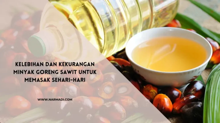 Kelebihan dan Kekurangan Minyak Goreng Sawit