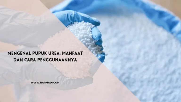 Kenali Apa Itu Pupuk Urea, Manfaat dan Penggunaannya