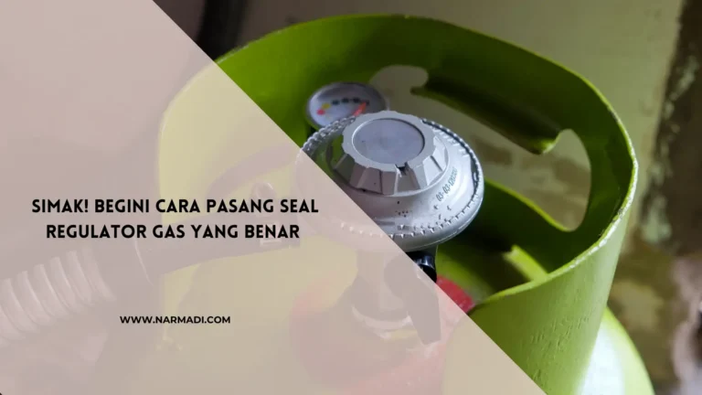 Seal regulator gas