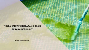 Kolam renang berlumut