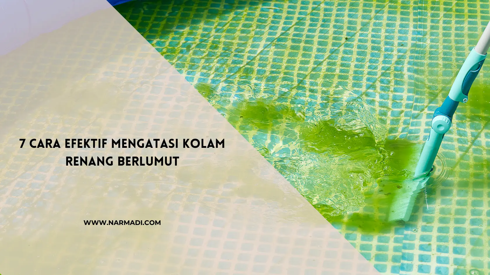 Kolam renang berlumut