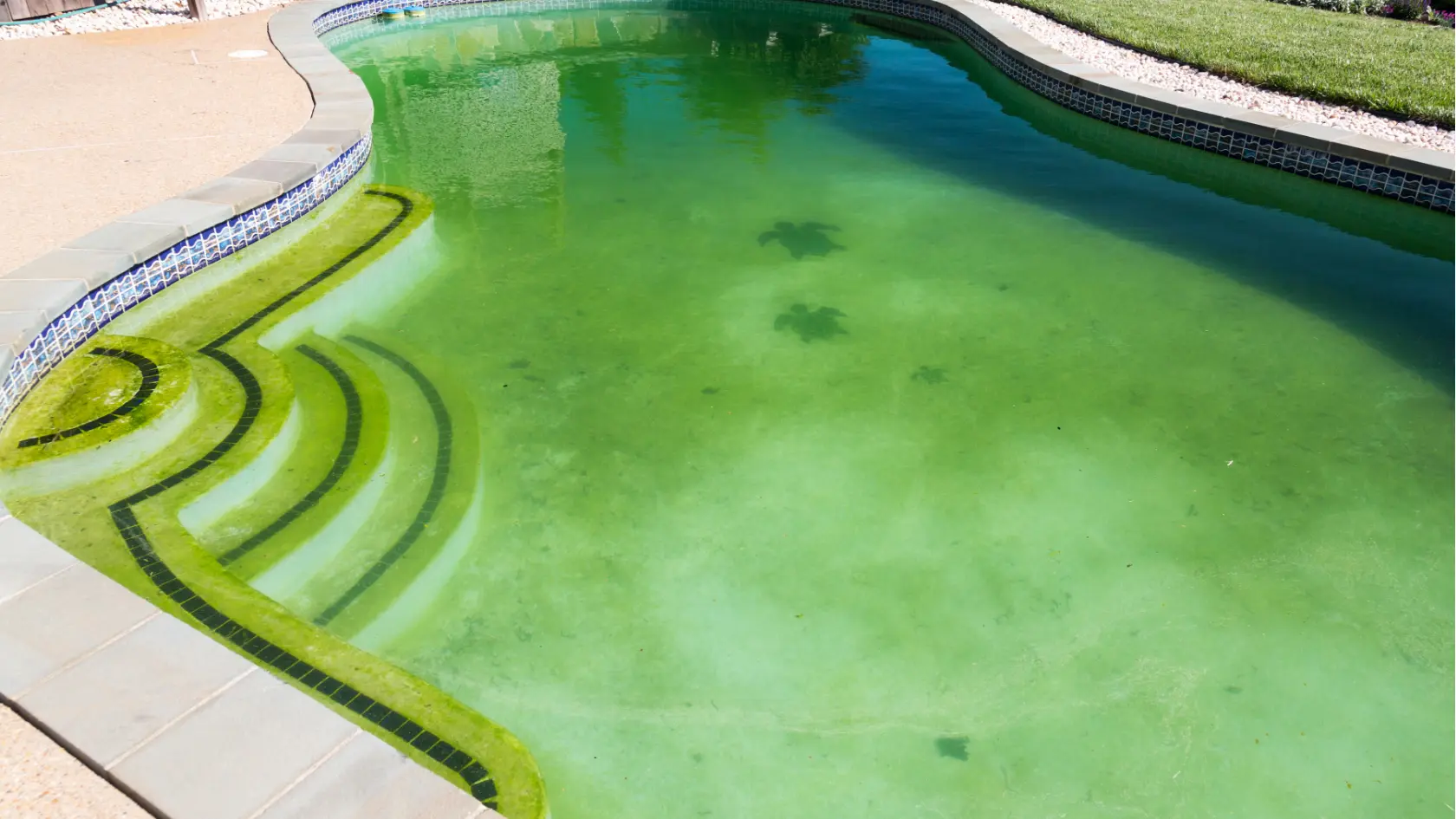 mengatasi air kolam renang yang keruh