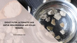 Zeolit Filter: Alternatif Lain untuk Menjernihkan Air Kolam Renang