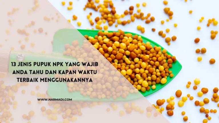 Mengenali Apa Itu Pupuk NPK dan 13 Jenisnya