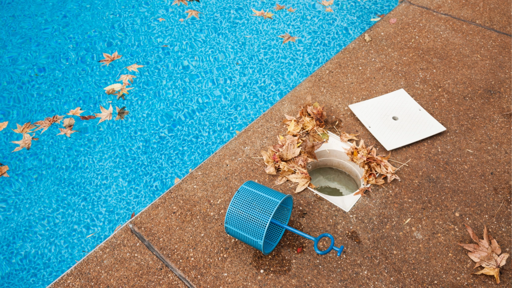 skimmer kolam renang 