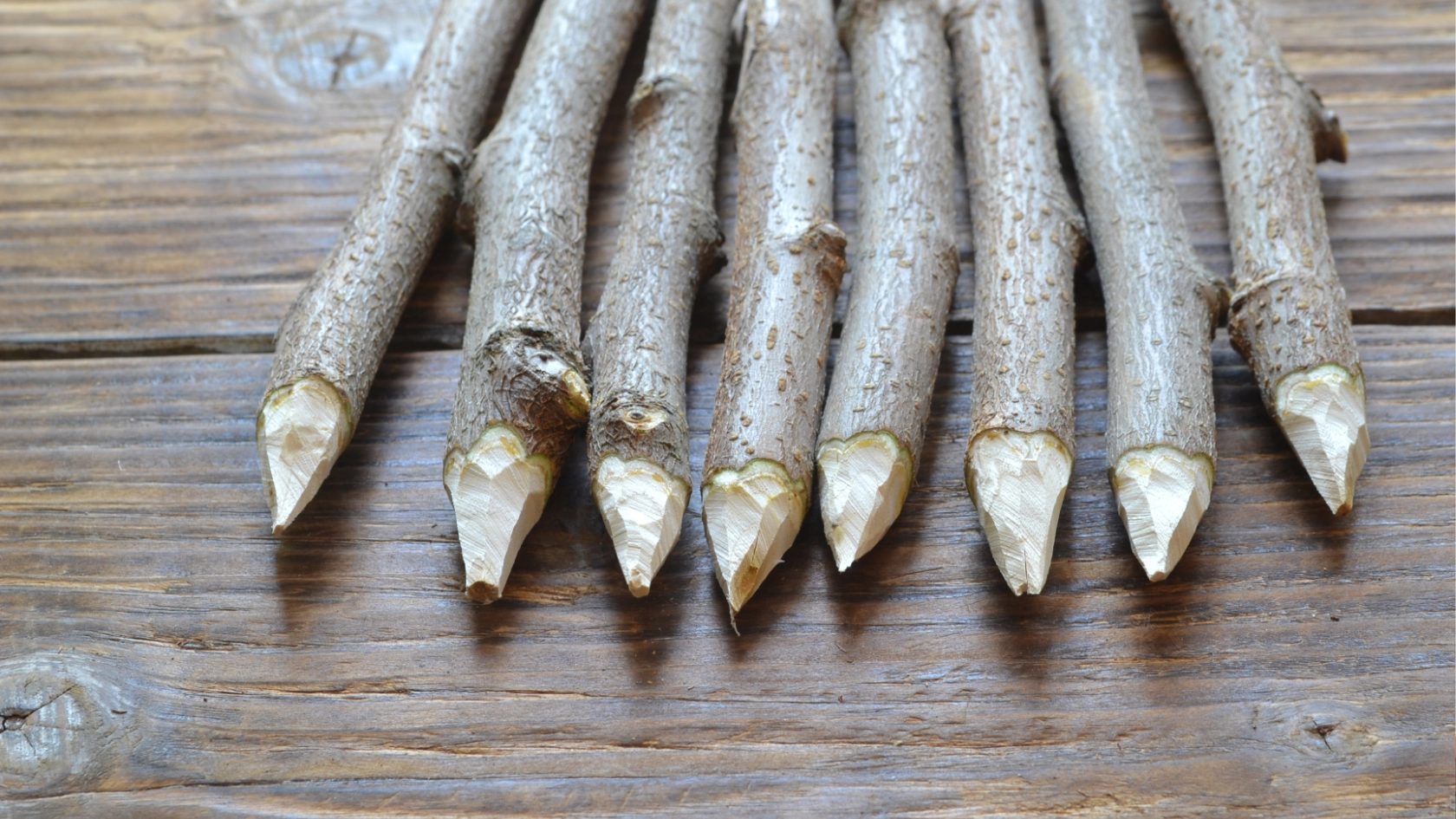 pemasangan bouwplank