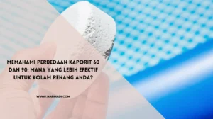 perbedaan kaporit 60 dan 90 - Narmadi.com