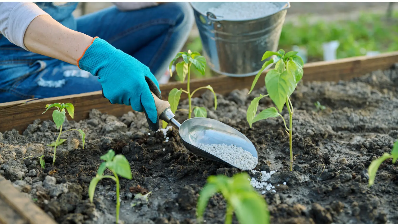 Mengenali Apa Itu Pupuk NPK dan 13 Jenisnya