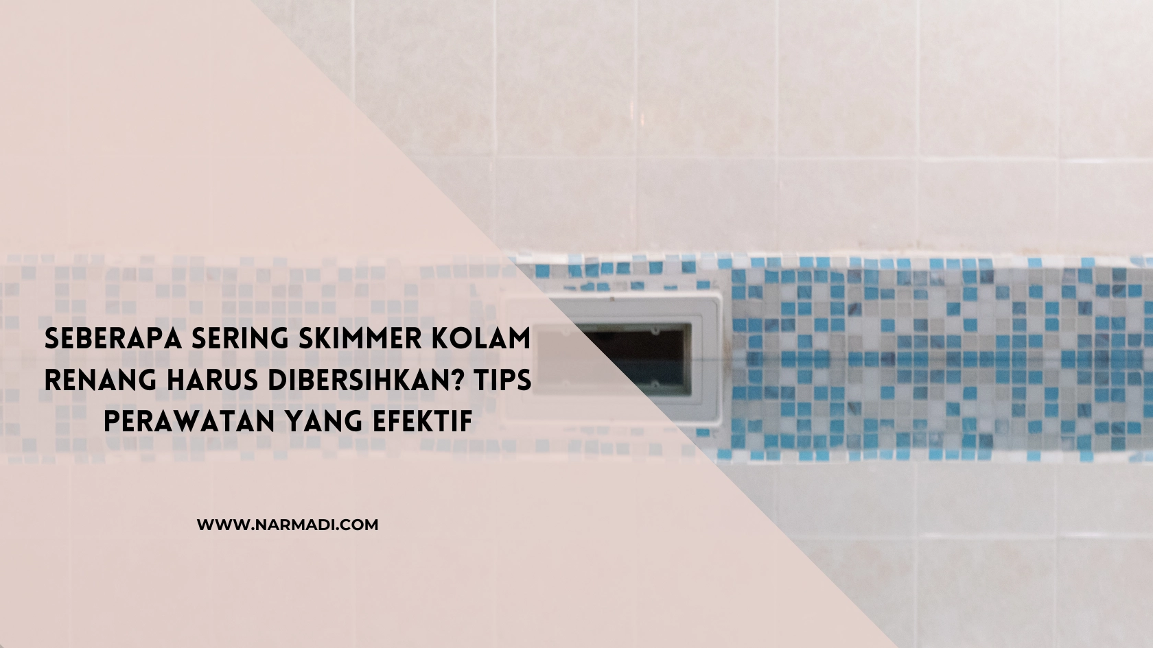 skimmer kolam renang