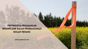 bouwplank kolam renang