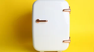 kulkas 1 pintu tanpa bunga es - Narmadi.co.id