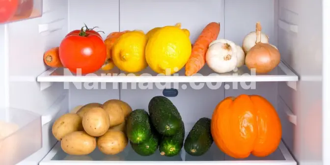 Kulkas 2 Pintu: Solusi Fungsional dan Estetis untuk Dapur Masa Kini