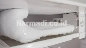 bunga es di freezer - Narmadi.co.id