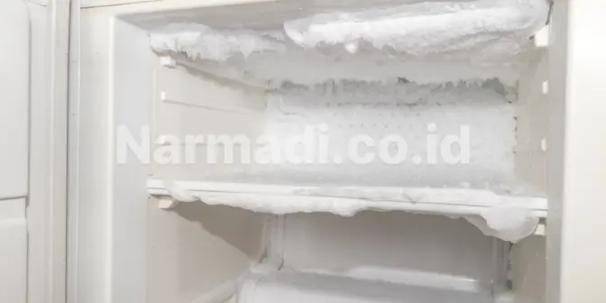 bunga es di freezer