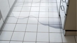 cara mengatasi kulkas berair - Narmadi.co.id