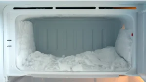 bunga es di freezer - Narmadi.co.id