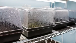 kulkas berembun - Narmadi.co.id