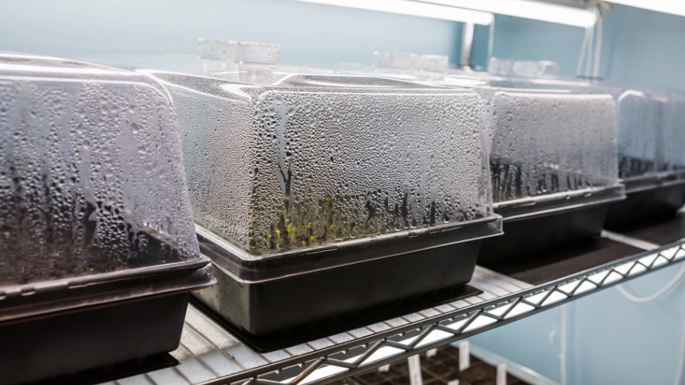 kulkas berembun - Narmadi.co.id