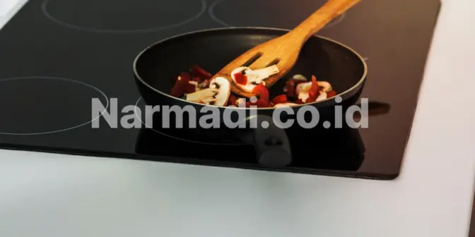 kompor induksi dan kompor listrik