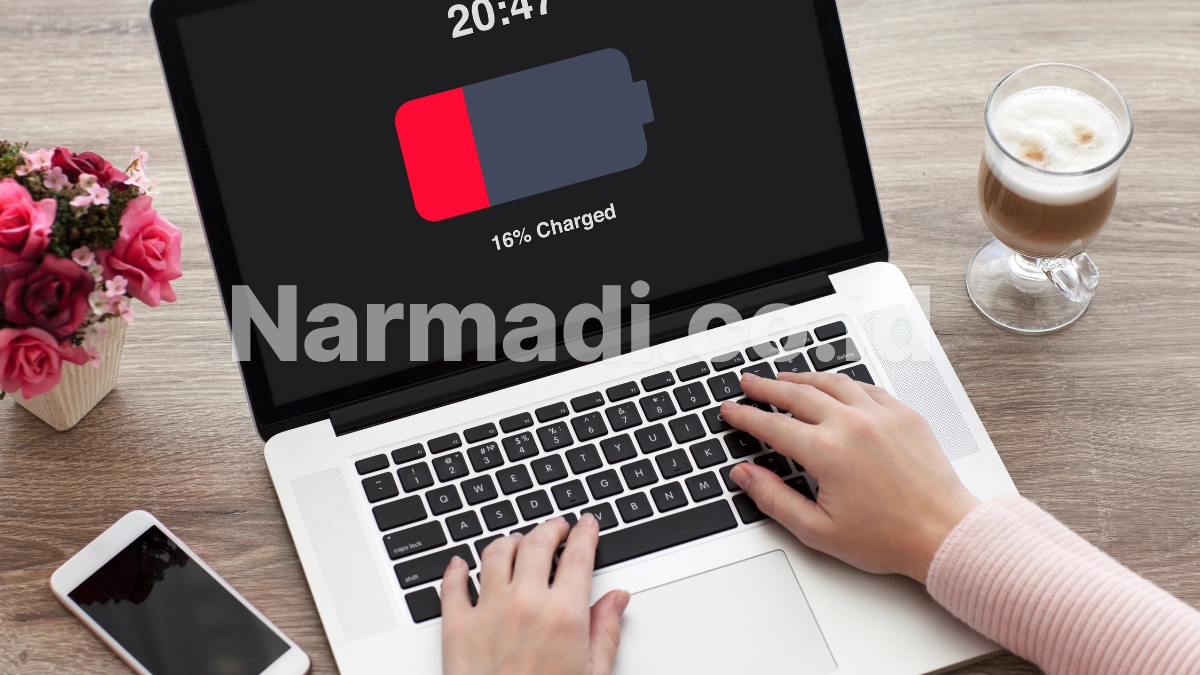 Panduan Memilih Laptop untuk Mahasiswa
