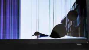 lcd laptop rusak - Narmadi.co.id