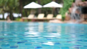 menjernihkan air kolam renang