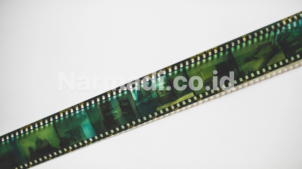 Kenapa Banyak Orang Memilih Lab untuk Cuci Film Kamera Analog?