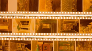 cuci film kamera analog - Narmadi.co.id