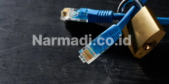 kelebihan access point