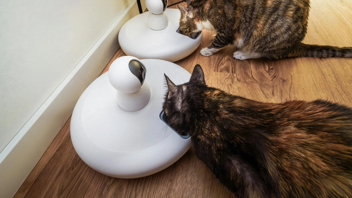 smart feeder - Narmadi.co.id