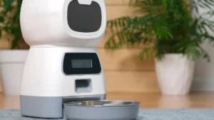 membersihkan smart feeder