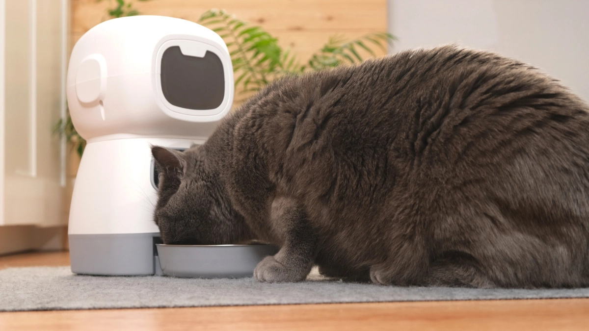 smart feeder macet