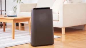 kelebihan dan kekurangan air purifier - Narmadi.co.id