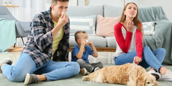 Kelebihan dan Kekurangan Air Purifier yang Perlu Anda Ketahui Sebelum Membeli
