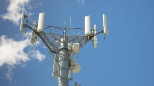 01/2025/TT-BKHCN - Narmadi.co.id