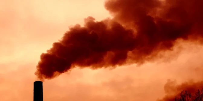 Kelebihan dan Kekurangan Air Purifier yang Perlu Anda Ketahui Sebelum Membeli