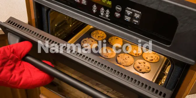butuh smart oven