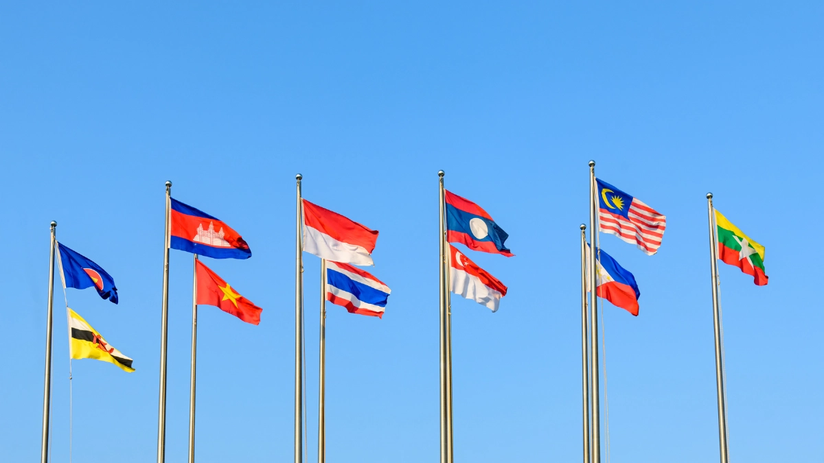 dimulti indonesia - Narmadi.co.id