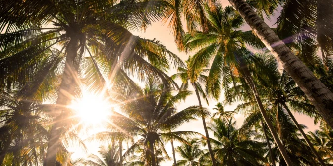 Kelebihan Smart Thermostat: Biar Rumah Adem, Tagihan Listrik Lebih Hemat