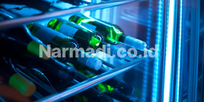 Jenis Wine Chiller dan Cara Menyesuaikannya dengan Kebutuhan Koleksi Anda