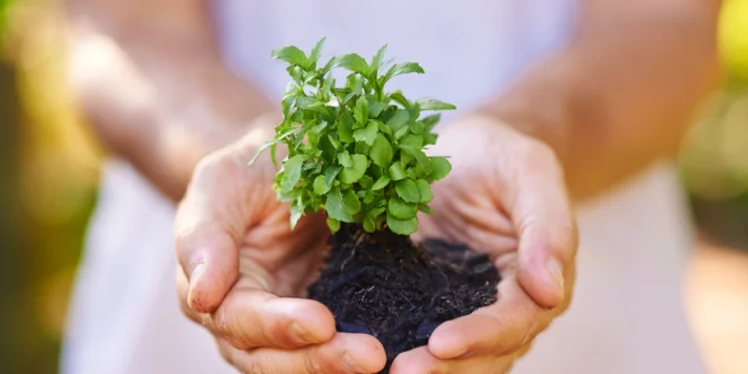 Kelebihan Smart Thermostat: Biar Rumah Adem, Tagihan Listrik Lebih Hemat